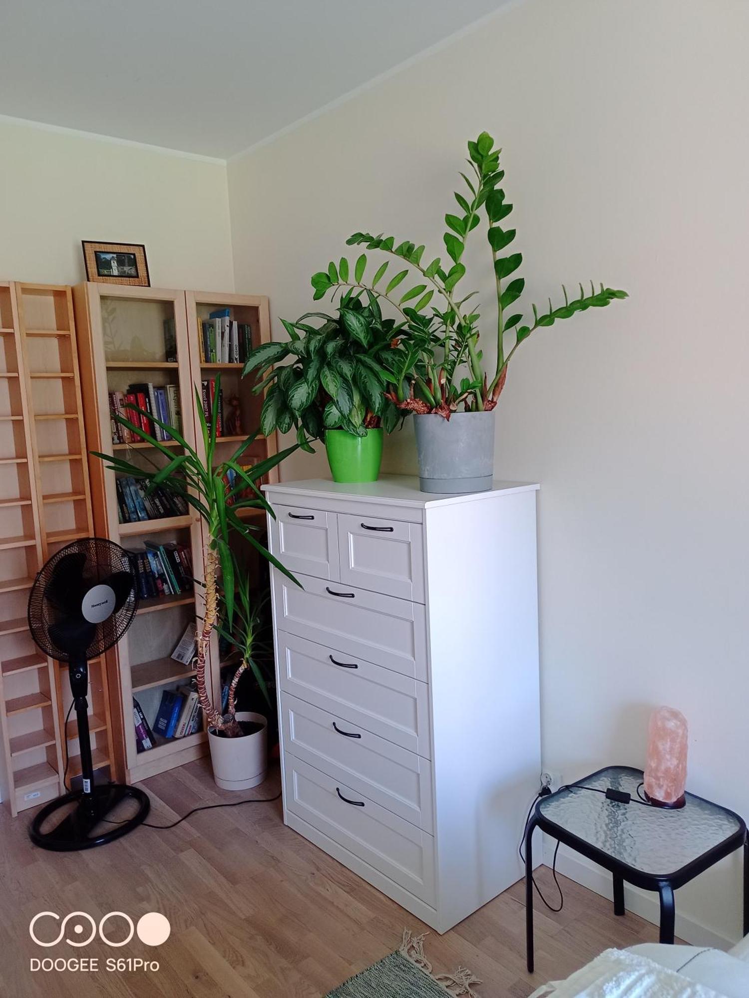 Pokoje Nad Radunia Pruszcz Gdański Esterno foto